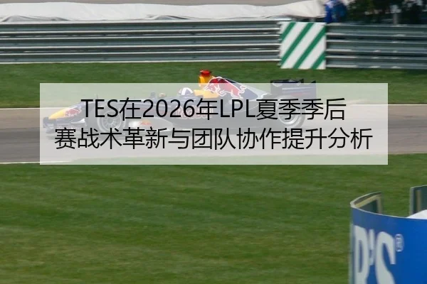 TES在2026年LPL夏季季后赛战术革新与团队协作提升分析